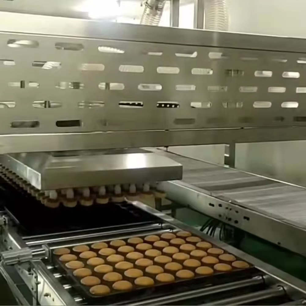 Equipamento Comercial de Panif - Bread Maker Machine avaliação e preço